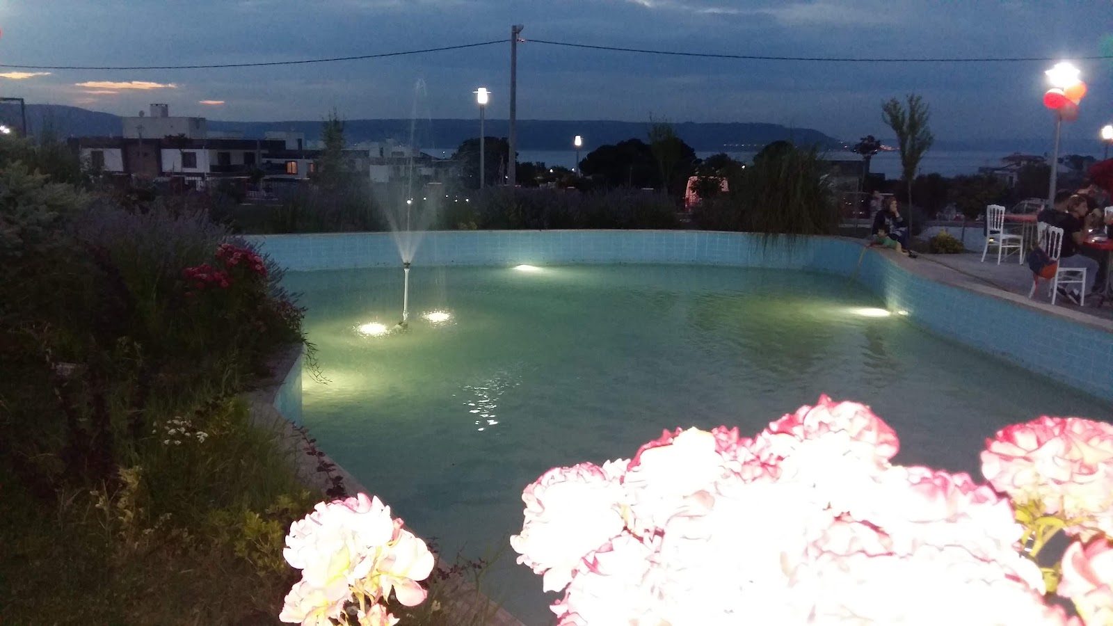 Çamlıca Kır Düğünsalonu.kepez — Çan, Çanakkale kır düğünü mekanı görsel 9