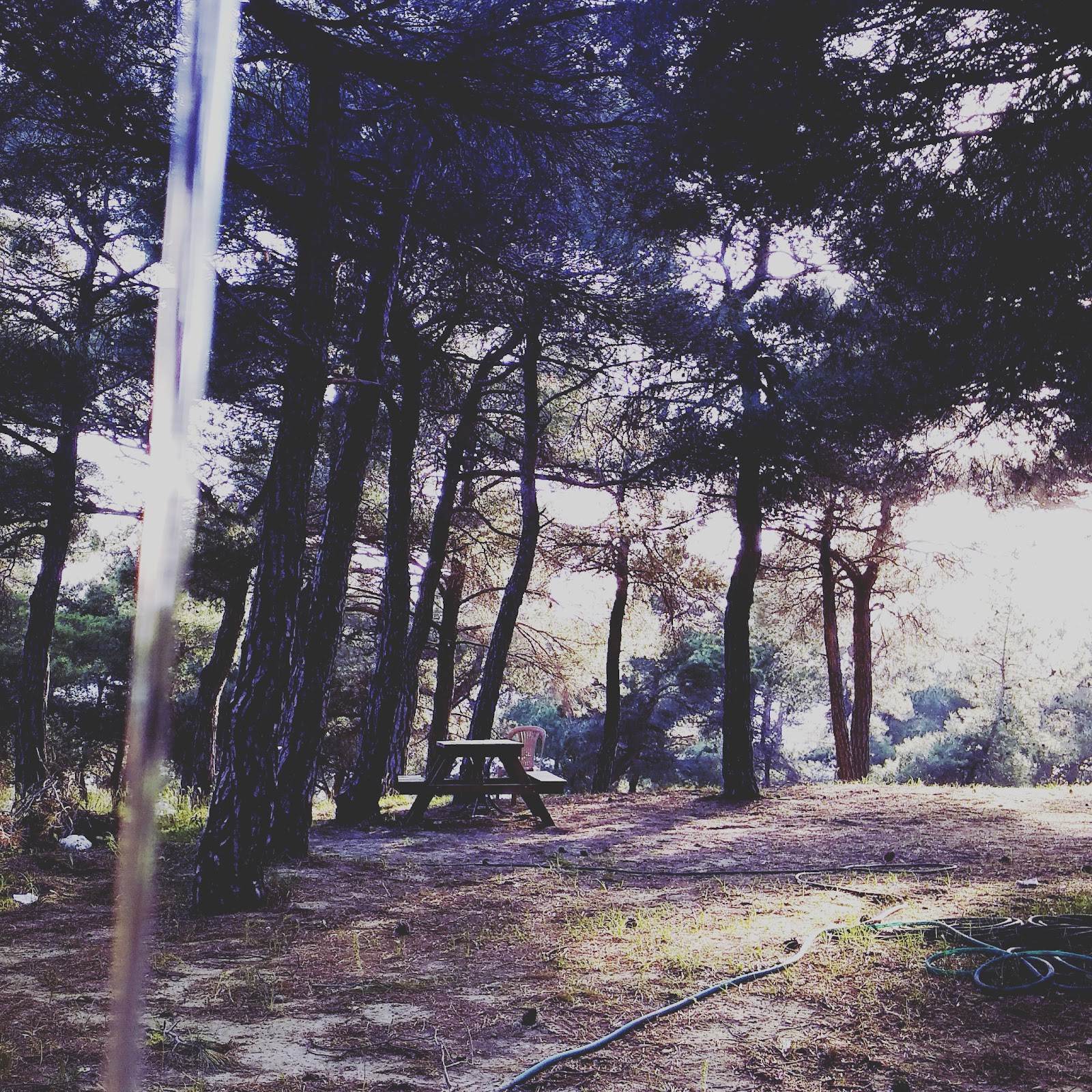 Çanakkale Kır Düğünü — Çan, Çanakkale kır düğünü mekanı görsel 6