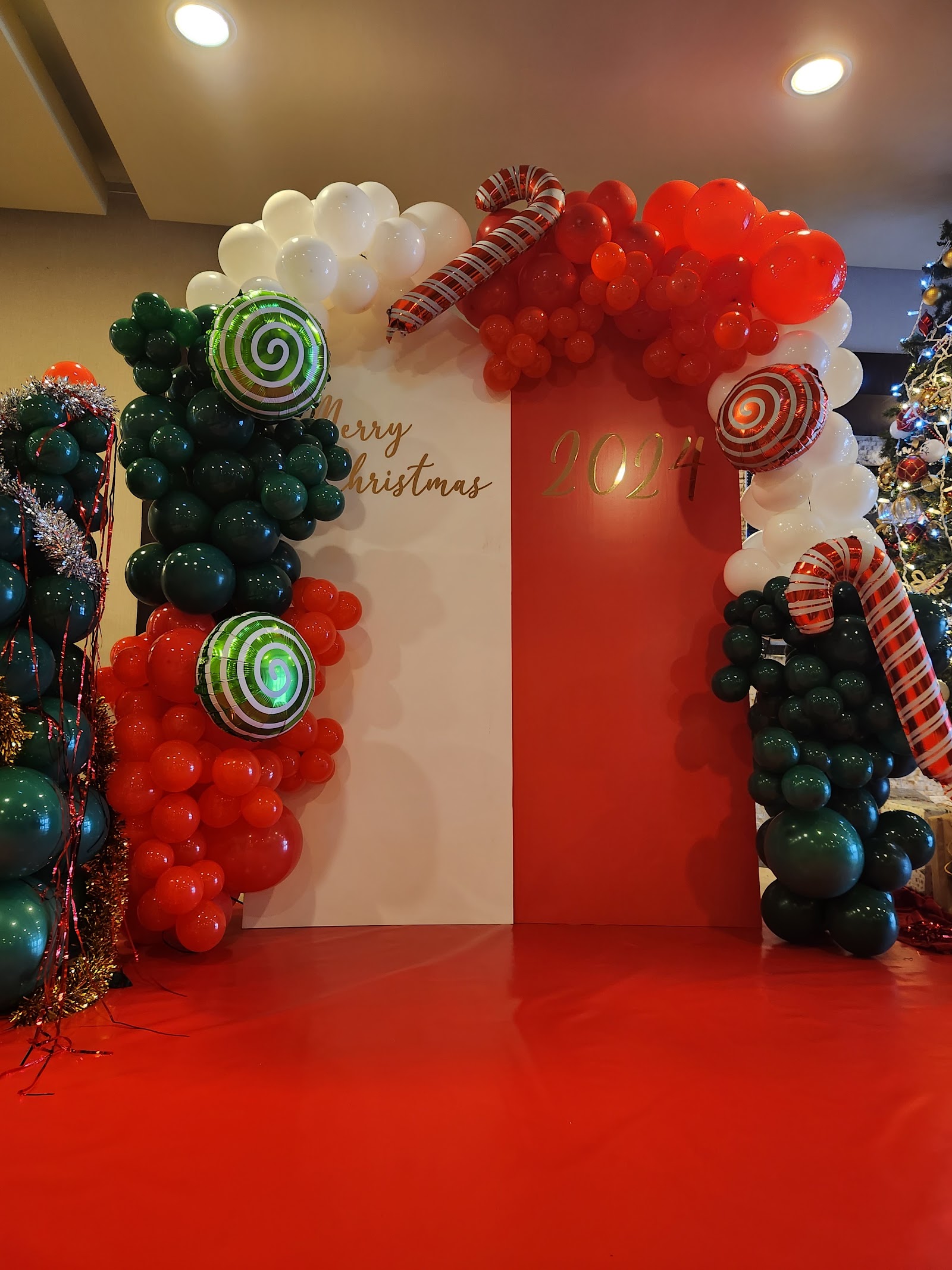 Concept organizasyon