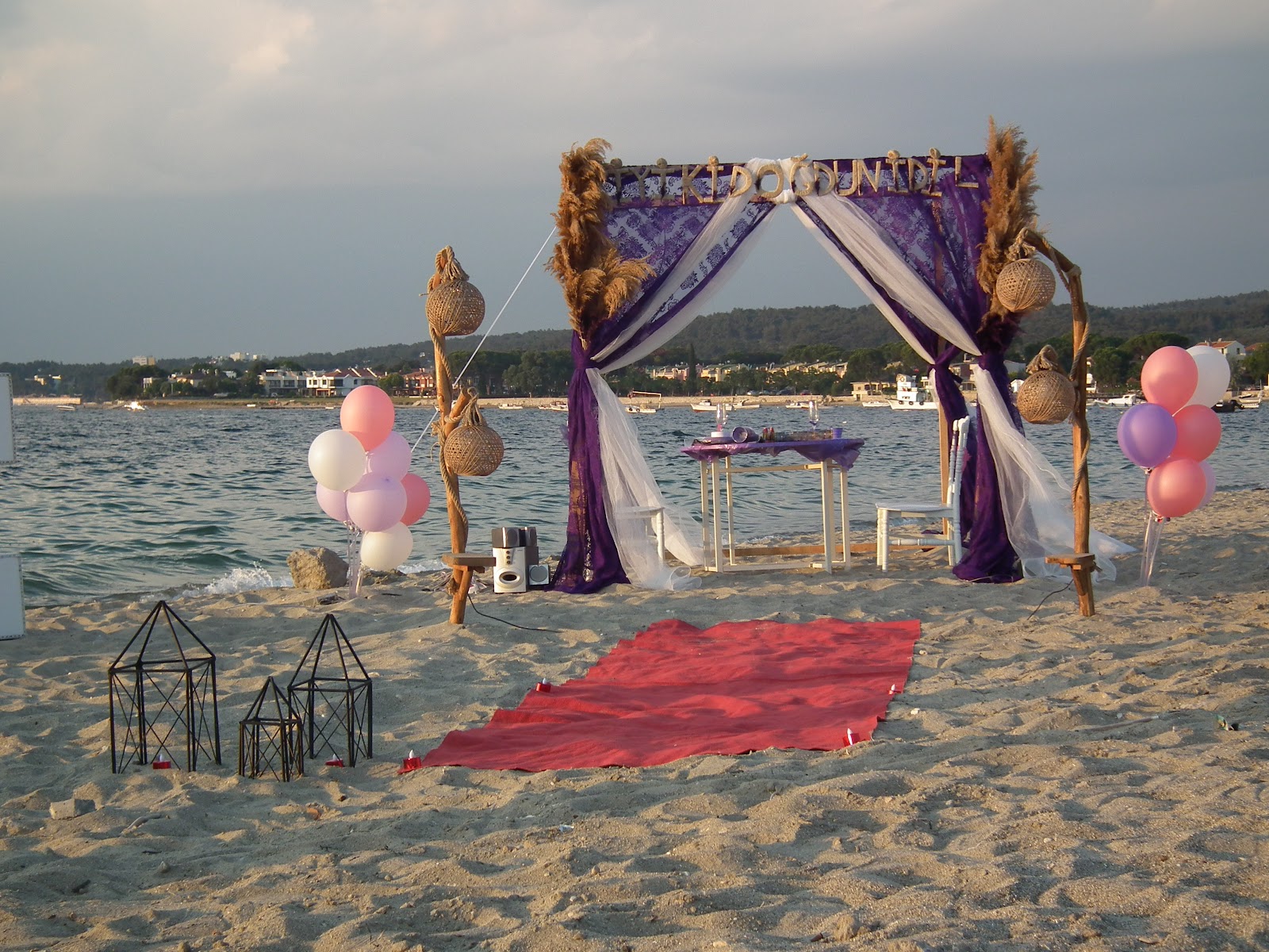 HAYALİM ORGANİZASYON