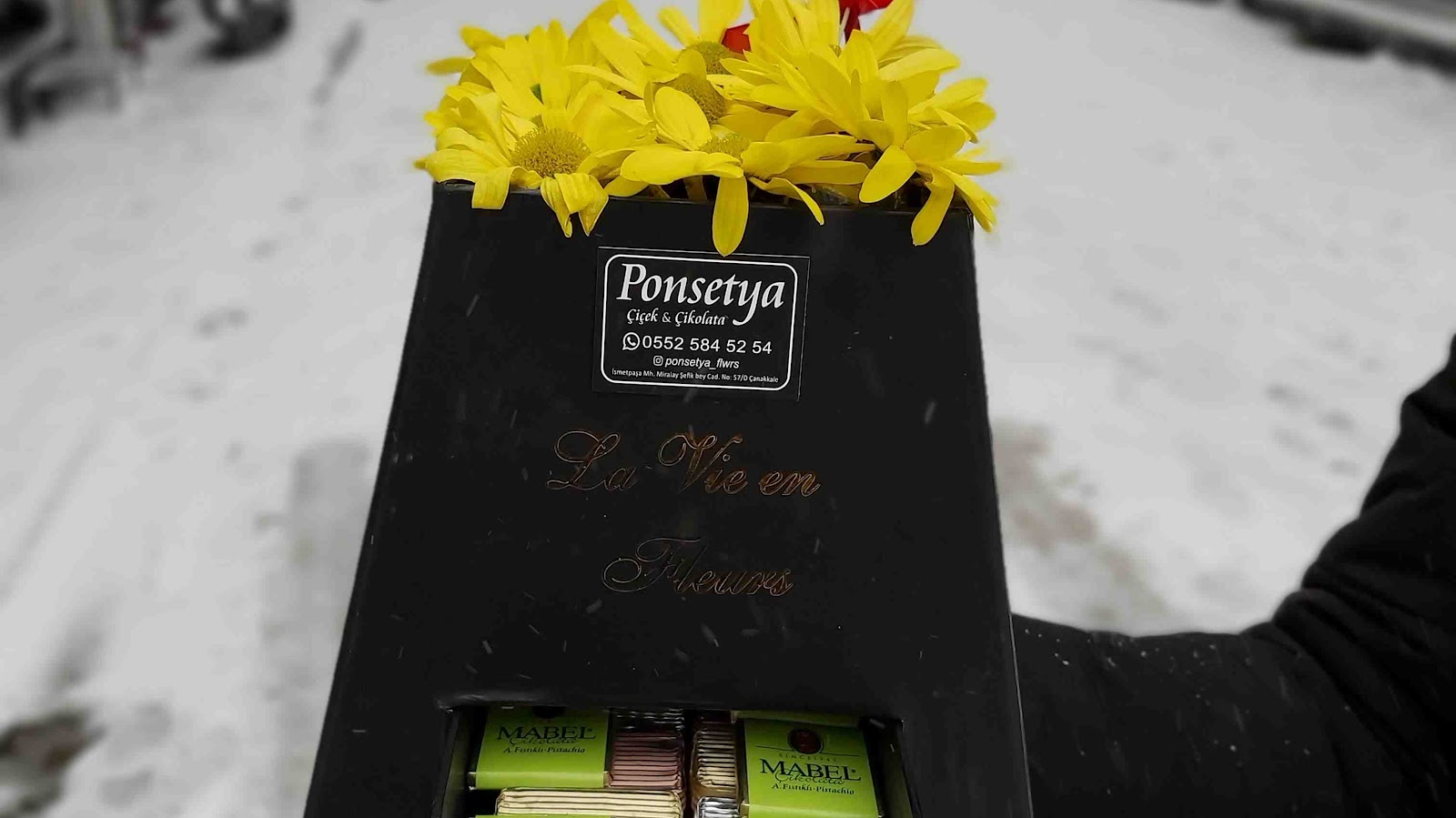 Ponsetya Çiçek Evi