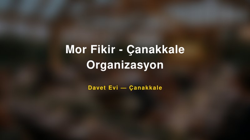Mor Fikir - Çanakkale Organizasyon Fiyatları ve Paket Seçenekleri