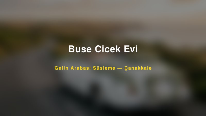 Buse Cicek Evi Gelin Arabası Süsleme Fiyatları — 1