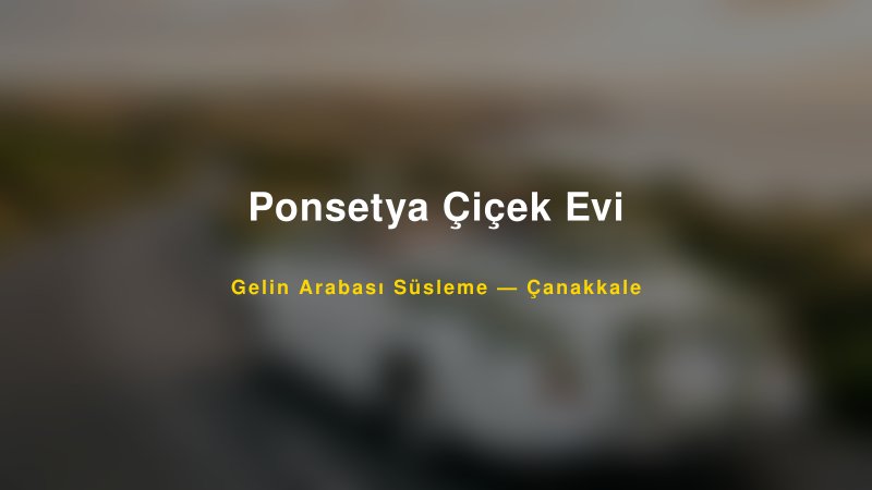 Ponsetya Çiçek Evi ile Trend Gelin Arabası Yazıları ve Konseptleri